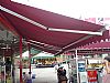 |ݸ늄(dng)(yng),|ݸ늄(dng)T(mn),|ݸ늄(dng)