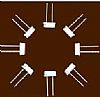 ʯӢS(chng)49SʯӢw