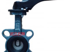 ؃r(ji)EBRO(dng)yZ011-A DN50