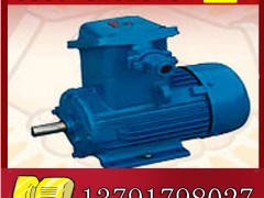 YBK2-200L1-2늙Cչr(ji)**