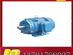 YBK2-200L2-2늙Cչr(ji)**