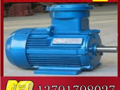 YBK2-225M-2늙Cr(ji)չr(ji)**