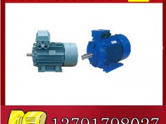 YBK2-315L1-2늙Cչr(ji)**