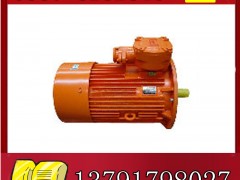 YBK2-200L-4늙Cչr(ji)**