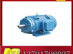 YBK2-315M-4늙Cչr(ji)**