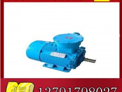 YBK2-315L2-4늙CS(chng)ֱN(xio)չr(ji)**