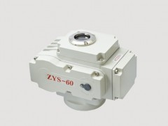 ZYS-60С220V늄(dng)yT(mn)