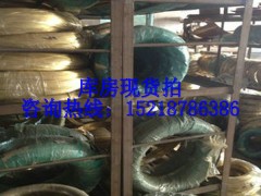 US~HbP61-1US~ US~S(chng)