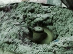 ęnN(xio)(w)ߘܴӡN(xio)ľ˾UYN(xio)