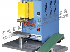 늳c(din)CAPM-10
