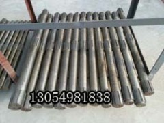 P30BIS ҶbrCS(chng)
