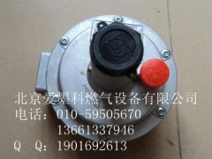 ƊW30061{Ȼ{