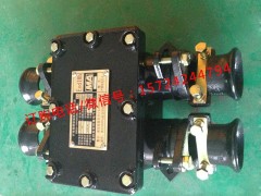 BHD2-100/1140-4GV÷͵͉|Ӿ(xin)