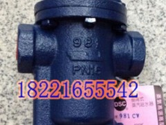 **|(zh)_DSCTFͲʽˮy982