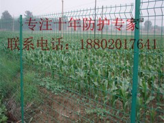 ۏoھW(wng)r(ji) ԇھW(wng)l(f) Ĳ·xW(wng)N(xio)