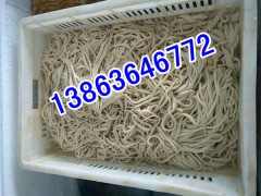 Tǧ~нzCS(chng)13863646772нzCr(ji)