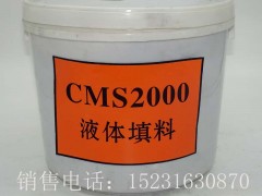 CMS2000ҺwҺB(ti)P(pn)ܷ