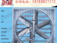 ؓL(fng)C BֳO L(fng)C BֳL(fng)C ؓʽL(fng)C ؓL(fng)C