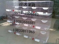 \û\u\؂\ӻ\g\BiW(wng)BuW(wng)W(wng)ӻ\ӻ\
