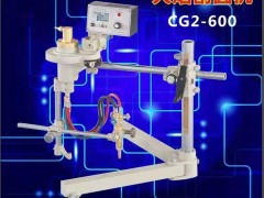 ACS(chng)ҬF؛ֱиACr(ji)** Ԅ(dng)AC
