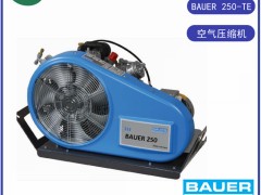 B(nio)AUERABAUER250-TE՚≺sC5.5kW