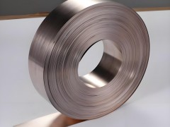 15yƬ 0.1*100mm